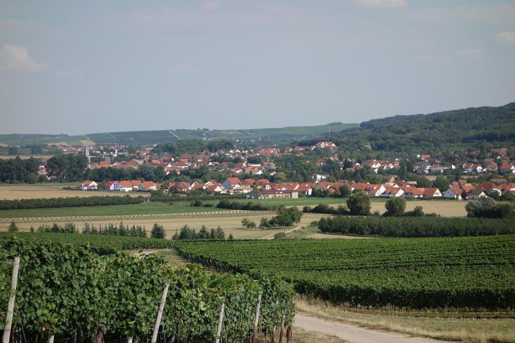 Antjes Ferienwohnung Flonheim Cameră foto