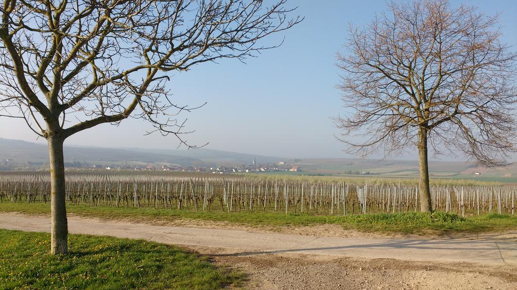 Antjes Ferienwohnung Flonheim Exterior foto